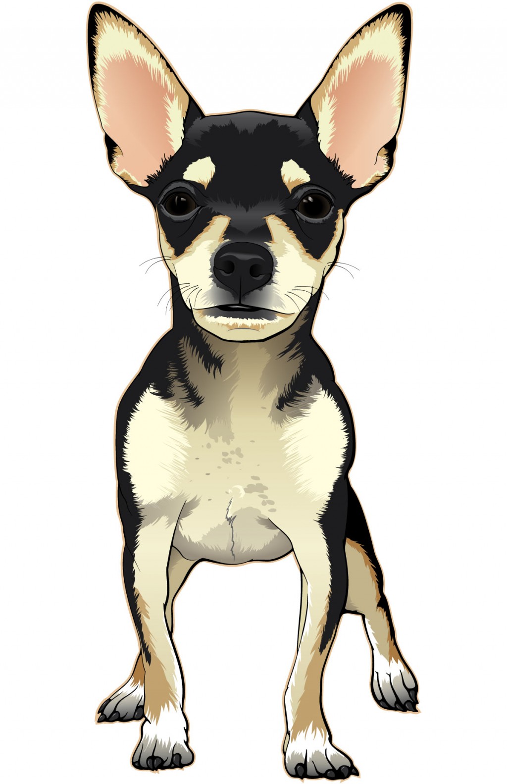 Color illustration of a black and tan chihuahua puppy.