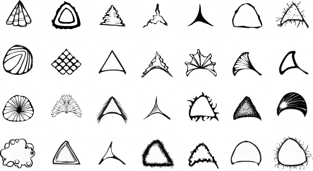 Final designs for different segments for organisms. There are twenty-eight different segments a player can have. Black and white line.