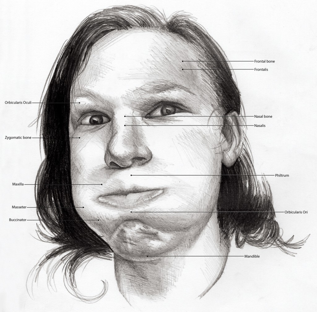Black and White illustration of someone, jaw open hands on face, looking shocked. Anatomical features labeled.