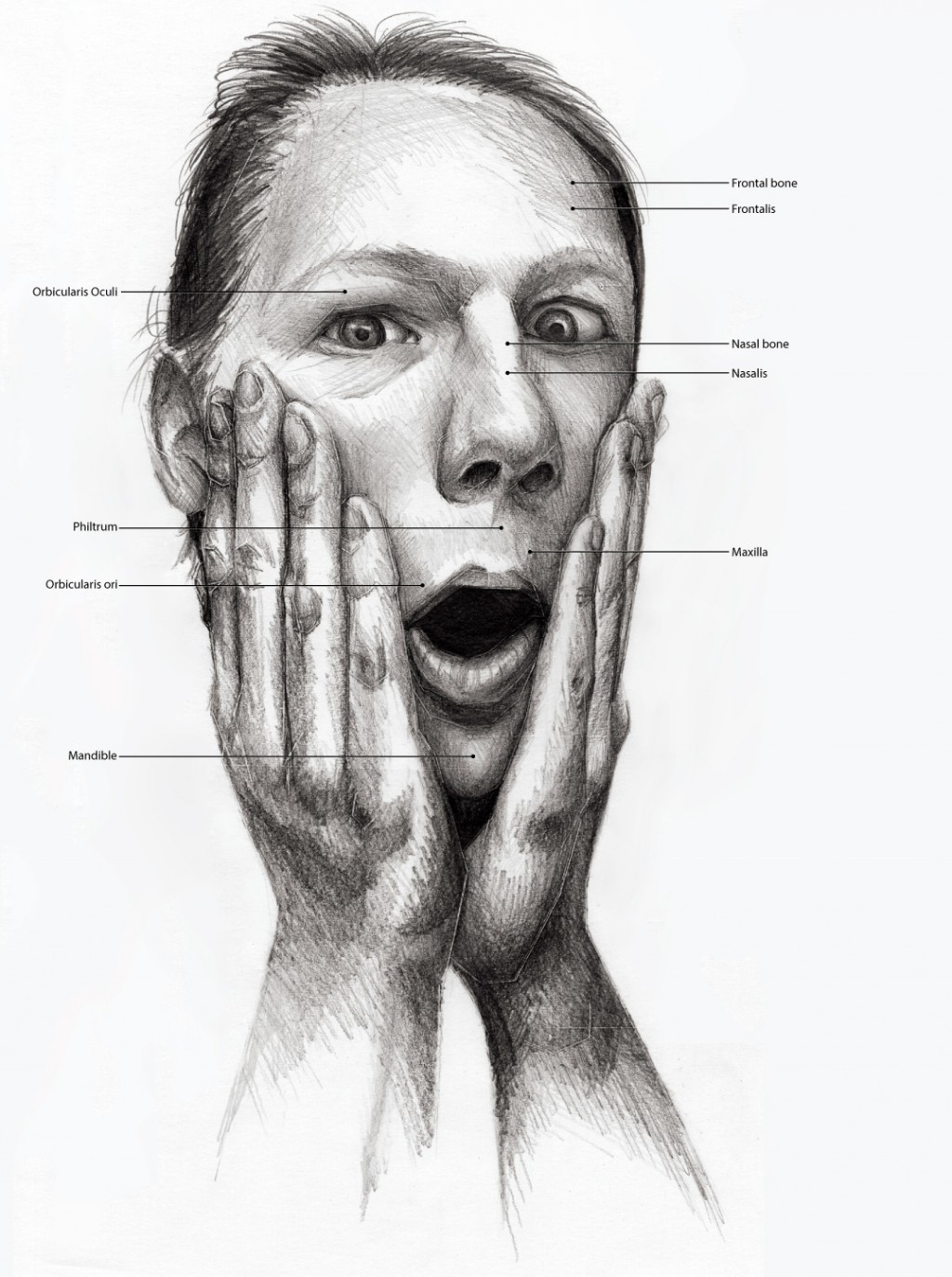 Black and White illustration of someone holding their breath. Anatomical features labeled.