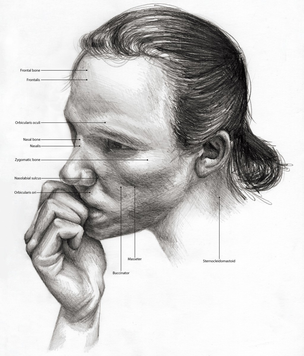  Black and White illustration of someone biting their nails. Anatomical features labeled.