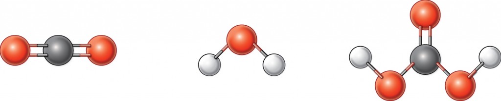 Color ball-and-stick models of darbon dioxide, water, and carbonic acid.