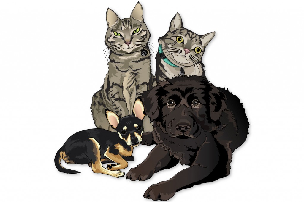 Color illustration of two gray and black striped, domestic shorthair cats, a black and tan chihuahua, and a black newfoundland puppy.