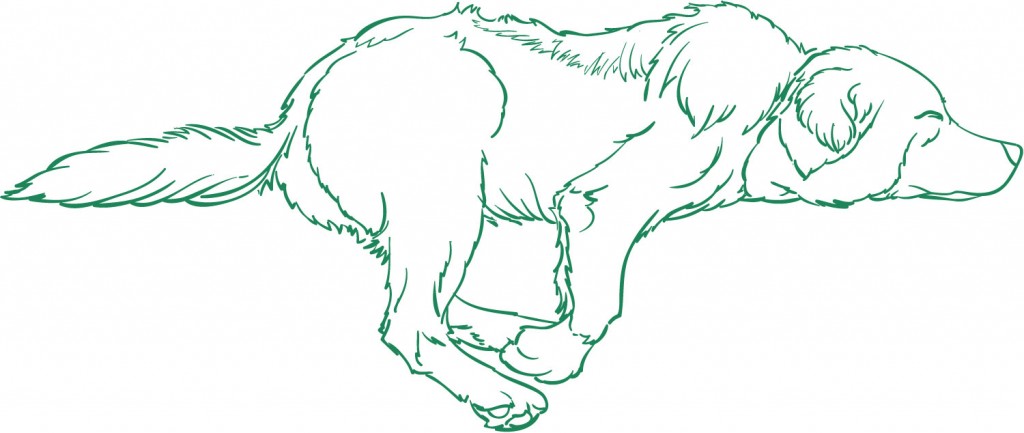 Line art sketch of a sleeping dog.