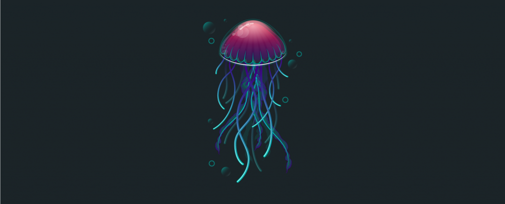 Full color stylized illustration of a jellyfish.