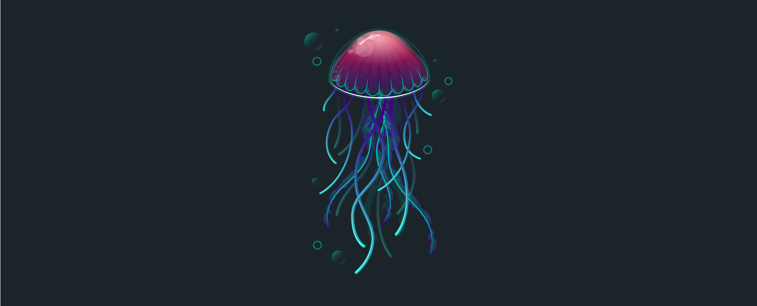 Jellyfish. January 2017.