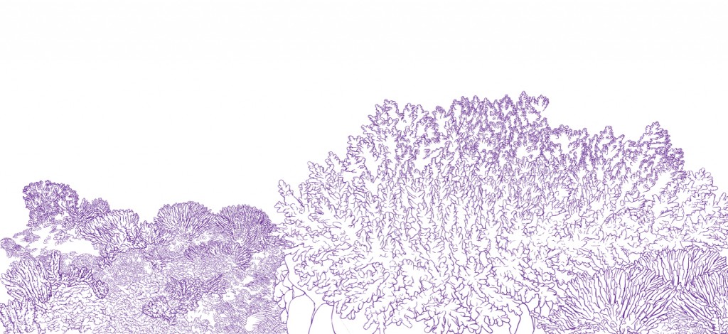 In progress illustration. Color line art sketches of coral.
