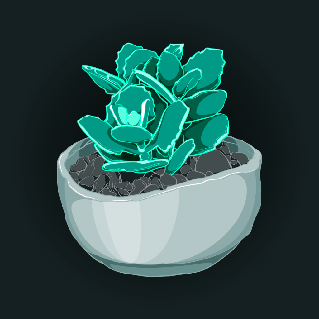 Color illustration of a potted green succulent plant in a gray pot with river rocks, sitting on a dark background.