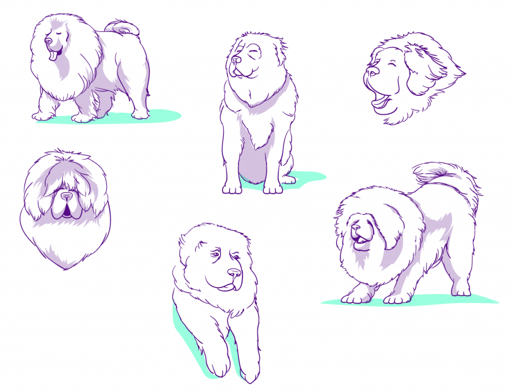 purple line sketches with loose shading of Tibetan Mastiff dogs in various poses.