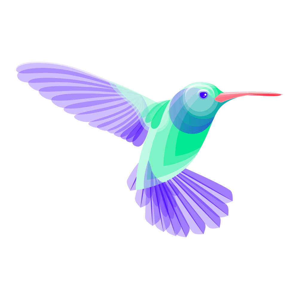 Hummingbird. June 2019