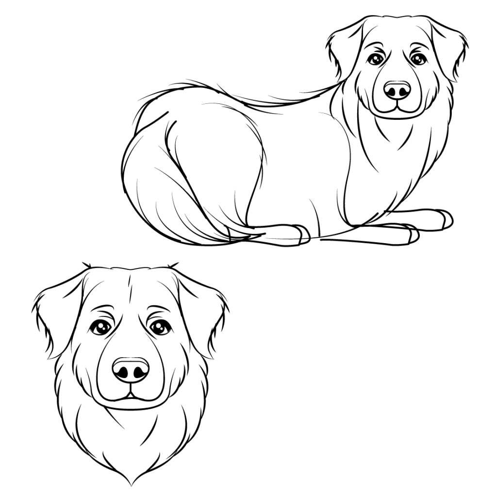 Line art sketch of a dog, Sage.