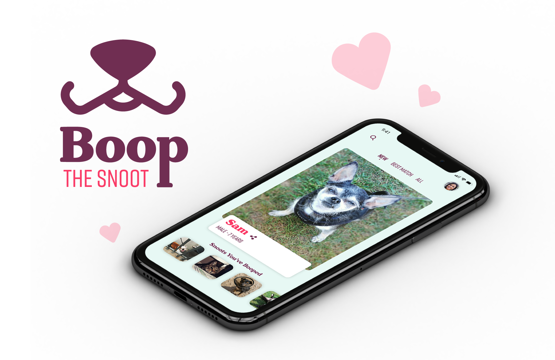 Boop the Snoot. November 2019