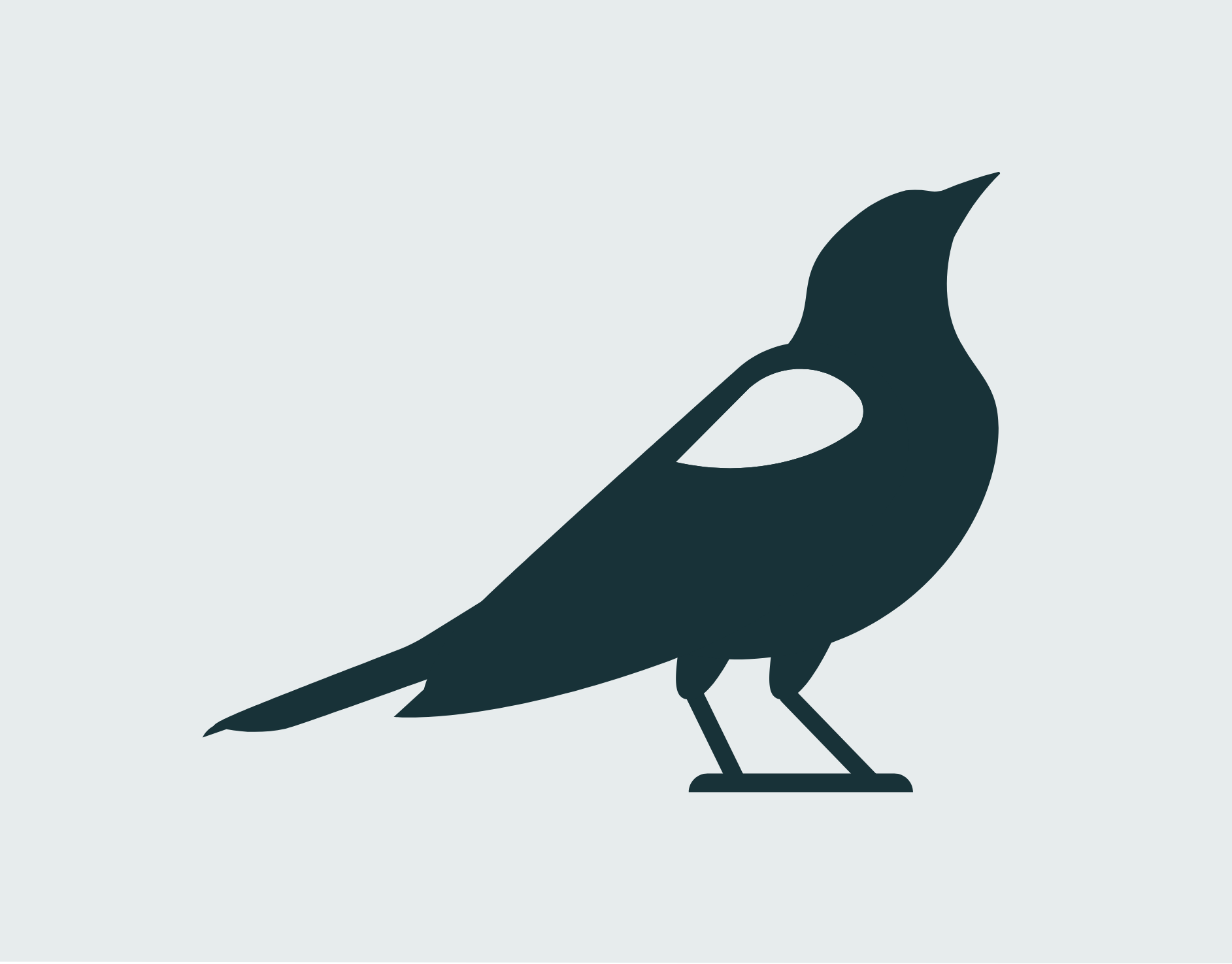 Blackbird Branding. February 2020