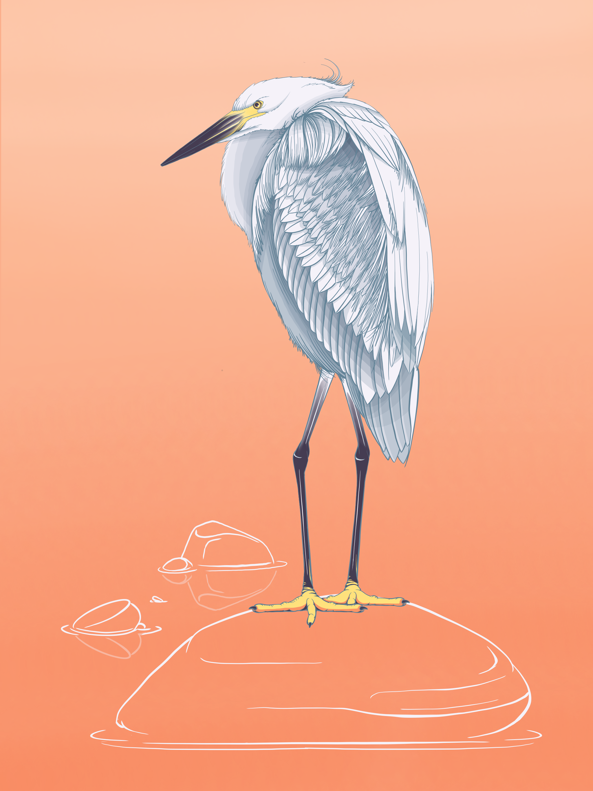 Illustration of a white egret standing on a rock in the water.