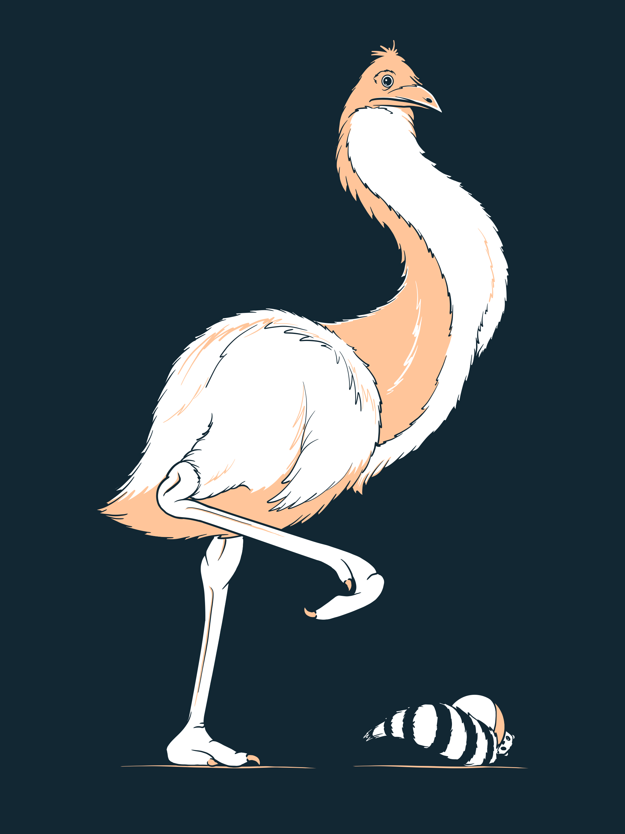 Emu Tango. January 2020