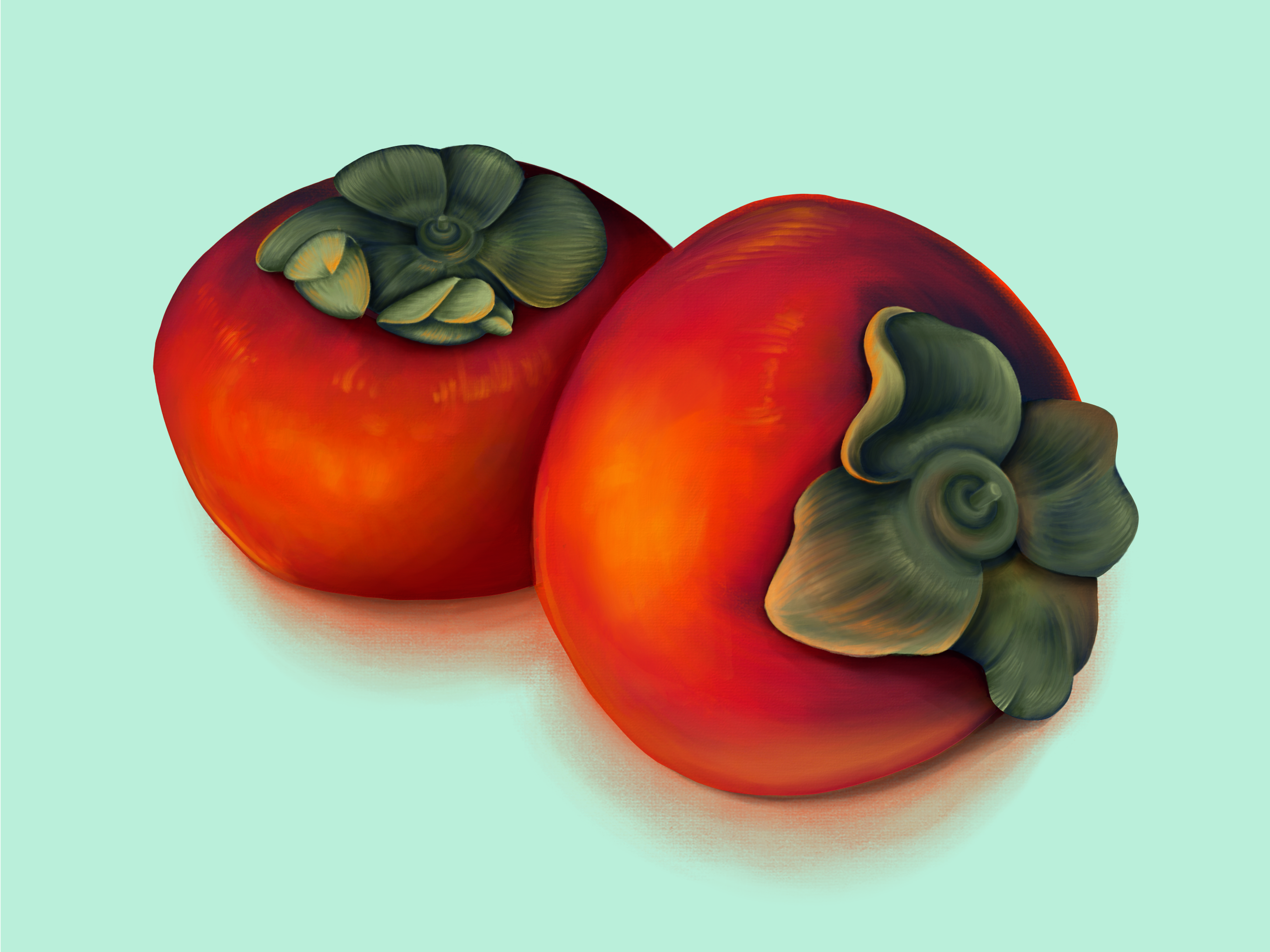 Digital painting of 2 persimmons in the style of an oil painting.
