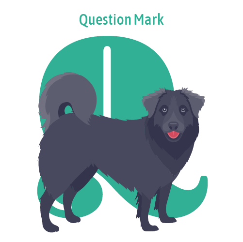 Alphabet of Dogs, Q, illustration of a mixed breed, question mark