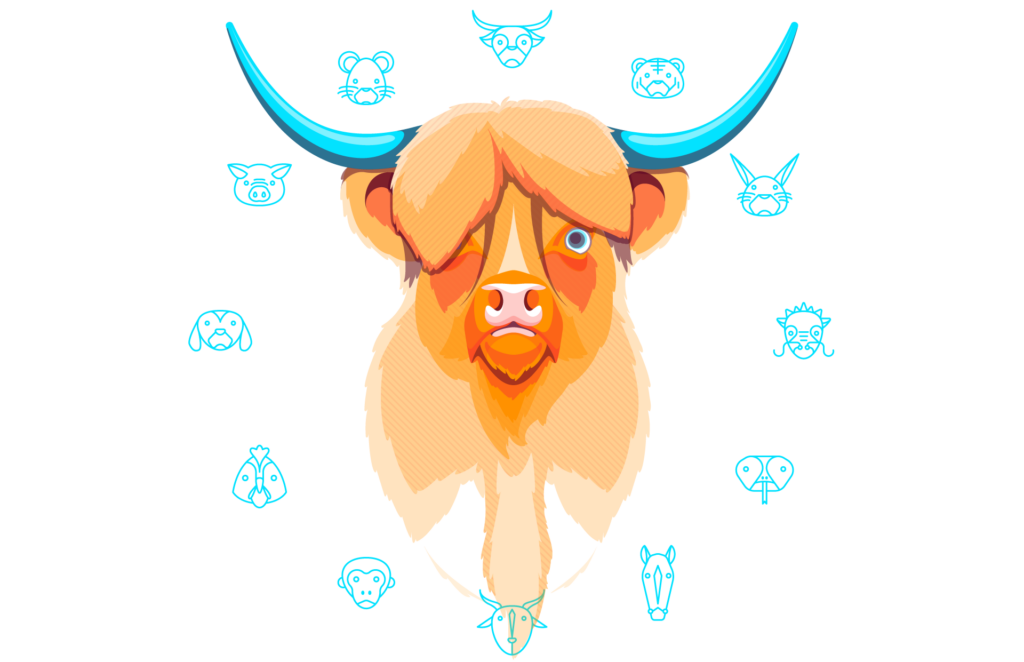 Illustration for the year of the Ox. Head of an Ox in orange with blue horns, Blue icons from the zodiac surround outside in a circle