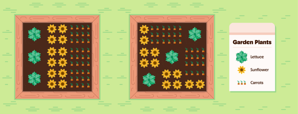 Adobe Illustrator Challenge 1, garden planning. Top down view of grass with 2 garden plots. Areas planned for lettuce, sunflowers, and carrots. Key on the right for garden plants.