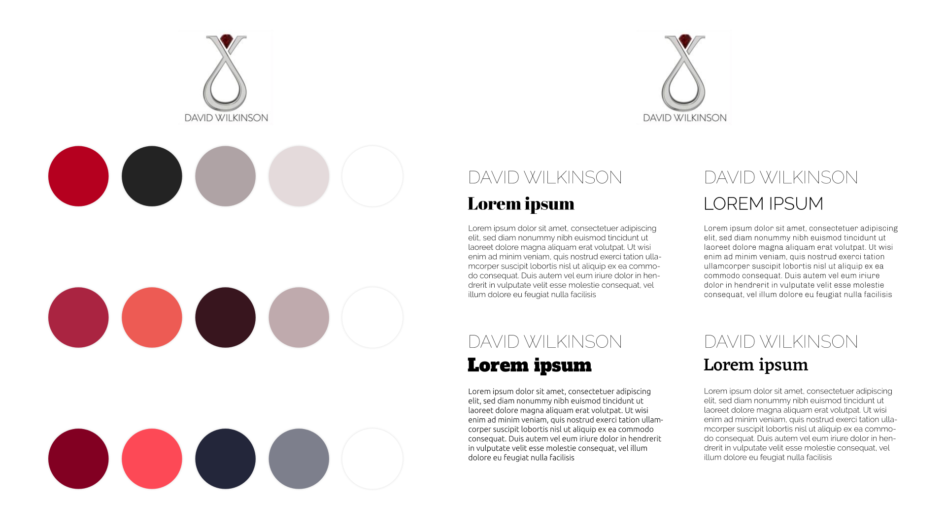 David Wilkinson Design brand explorations. Left, color palette options based on the logo. Right, font pairing options based on the logo.