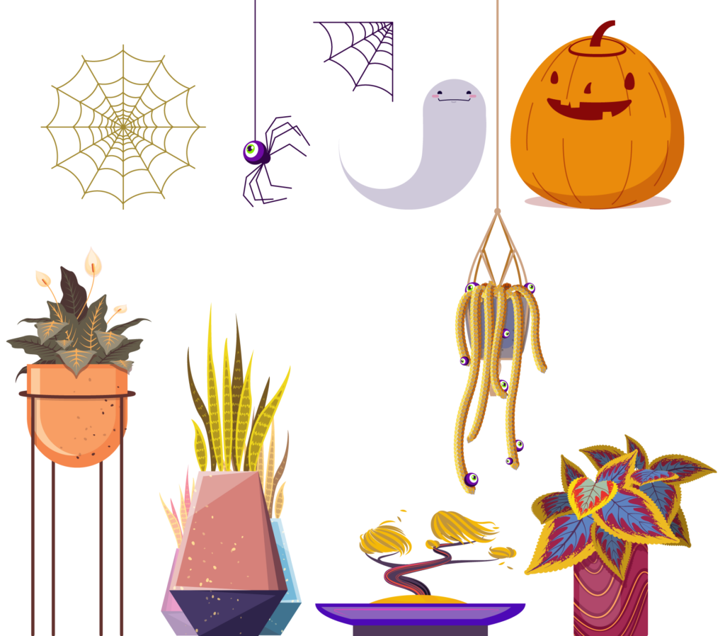 Haunted Botanical Garden, new Halloween assets top row, spiderweb, spider hanging down, corner web, ghost, pumpkin. Bottom row, peace lilly, spider plant, bonsai tree, burros tail, and rubber plant recolored.