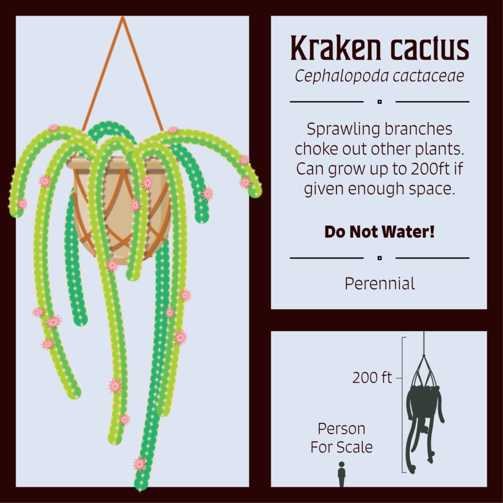 Haunted Botanical Garden, burros tail botanical plate, named "kraken cactus" cephalopoda cactaceae. Sprawling branches choke out other plants. Can grow up to 200ft if given enough space. Do not water! Perennial. 200ft plant, person for scale.
