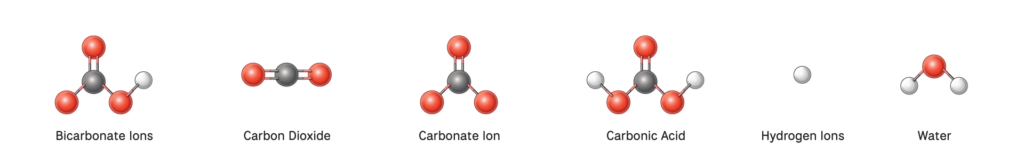 Ocean Acidification, atomic illustration, bicarbonate ion, carbon dioxide, carbonate ion, carbonic acid, hydrogen ions, water