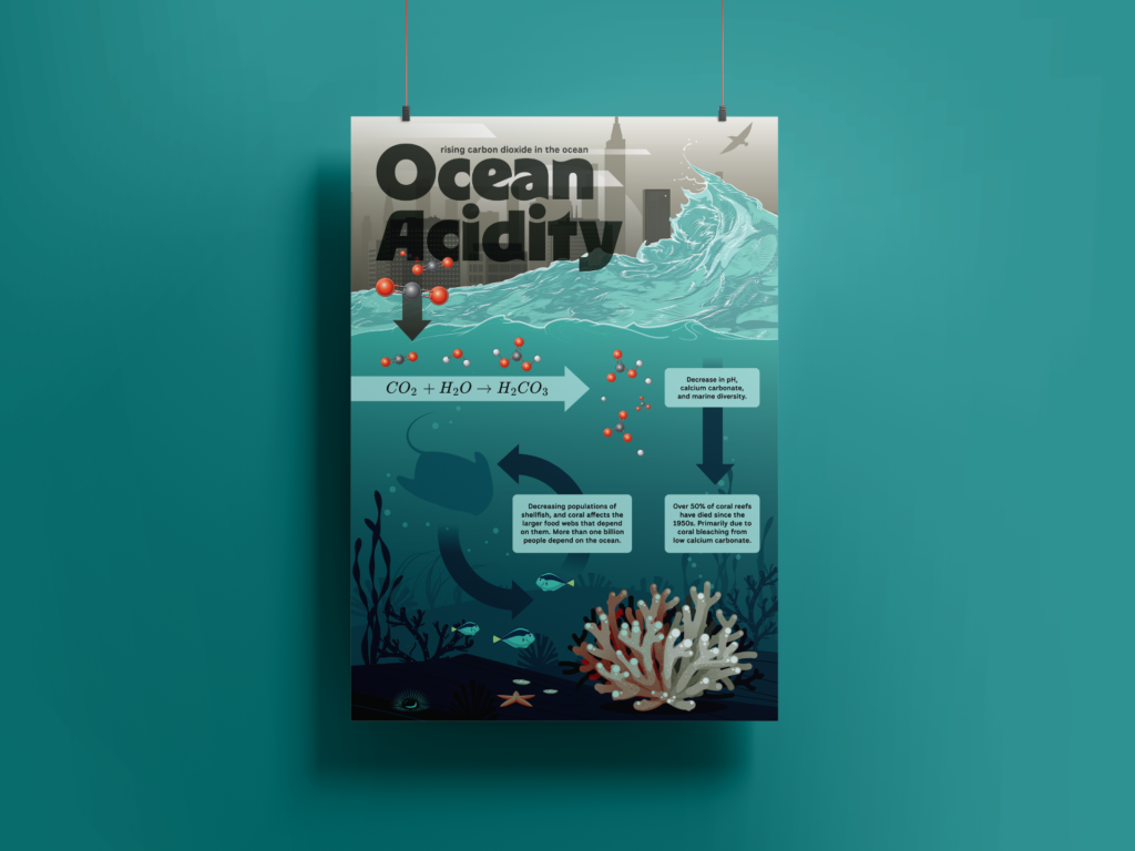 Ocean Acidification, poster exhibit mock-up.