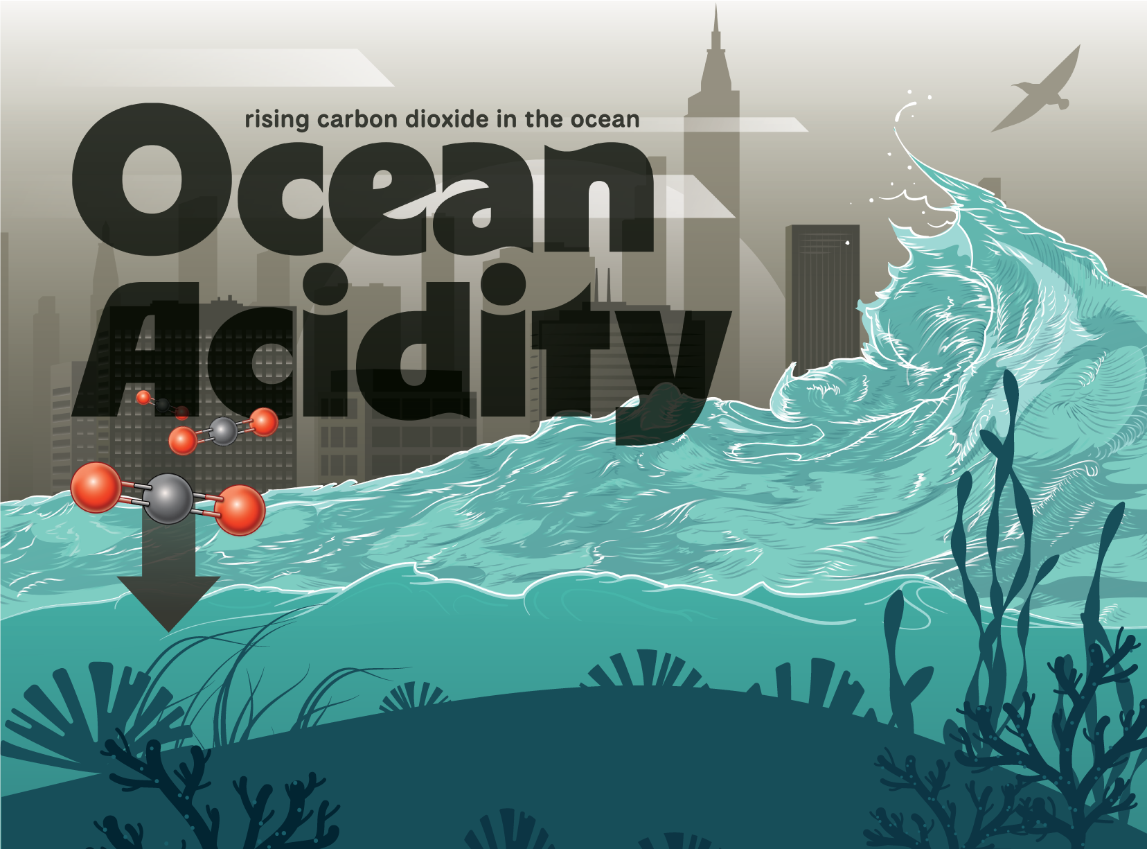 Ocean Acidification. October 2025