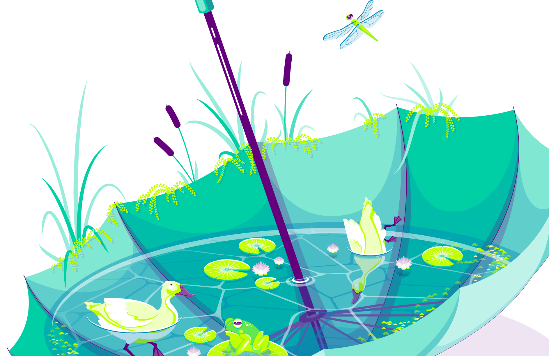 Umbrella Duck Pond. August 2023