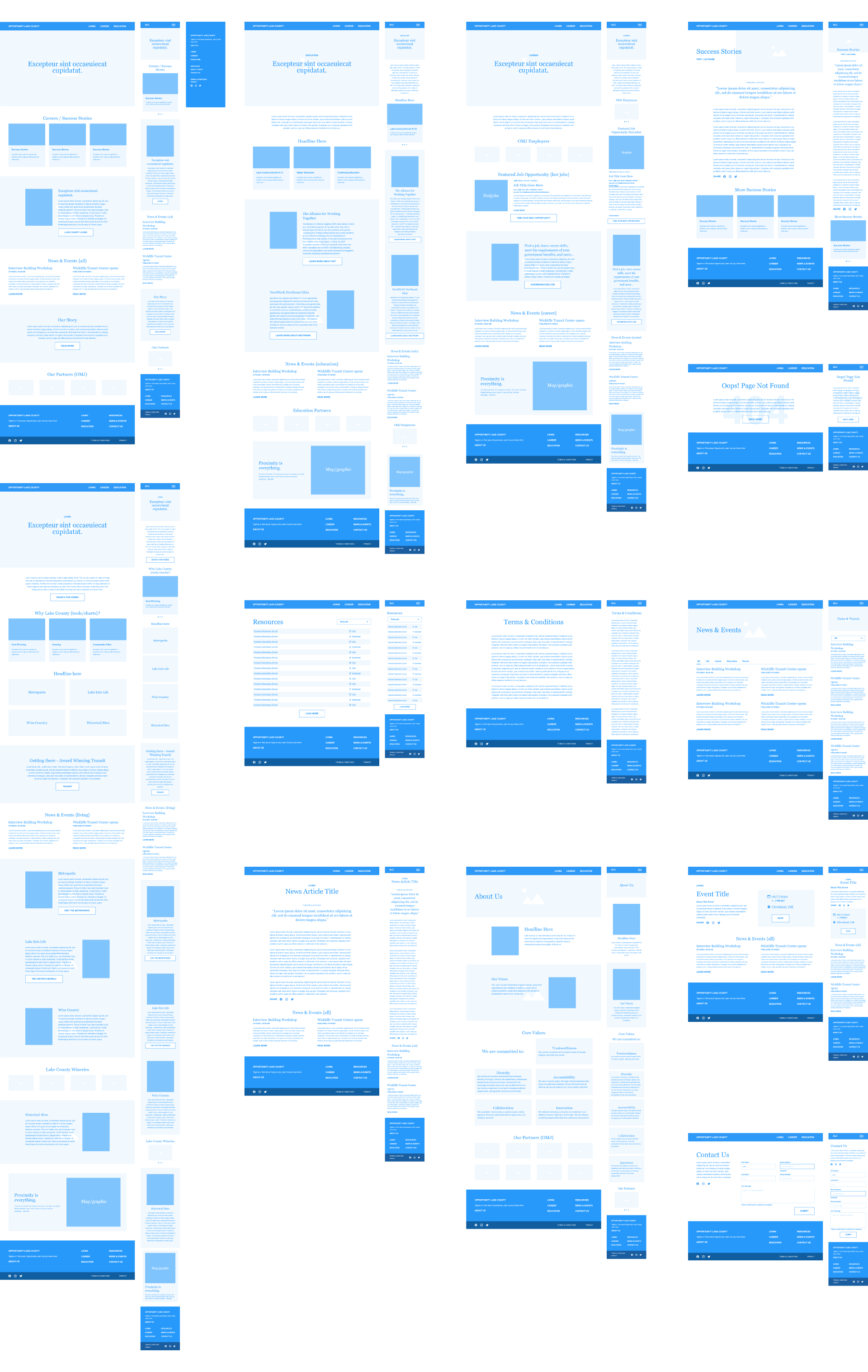 Opportunity Lake County Website, wireframes of all pages.